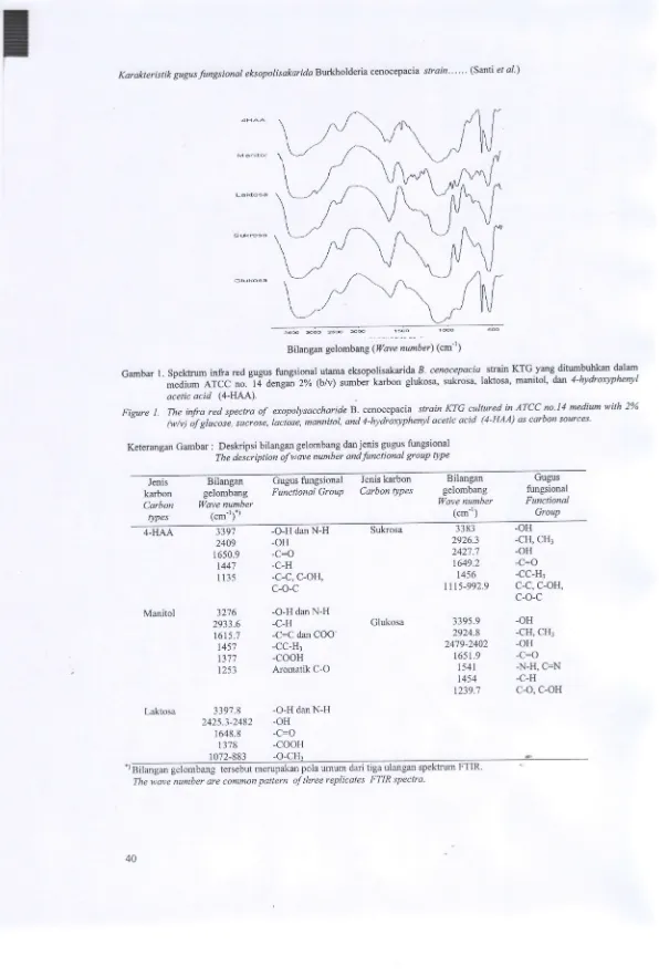Gambar l. Spektrum medium ATCC no.ii 
