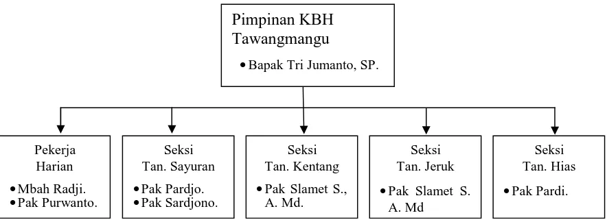 Gambar 1. Struktur organisasi KBH Tawangmangu 