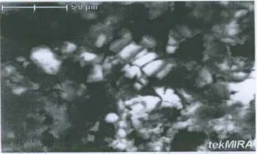 Gambar 9. Hasil Analisis SEM X-Ray Mapping untuk lelehan dengan fluks 