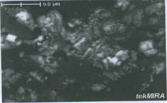 Gambar 10. Hasil Analisis SEM X-Ray Mapping untuk terak dengan fluks 