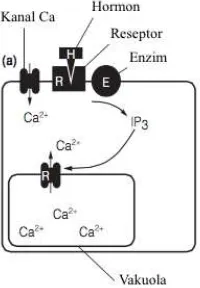 Grafik di atas menjelaskan pengaruh faktor X (sumbu horizontal) terhadap kecepatan reaksi enzim pencernaan (sumbu vertikal)