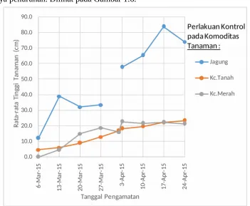 Gambar 1.6 Rata-rata tinggi tanaman pada komoditas