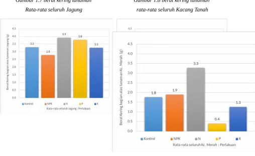Gambar 1.7 berat kering tanaman