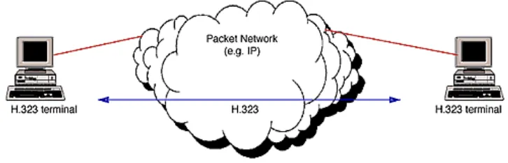 Gambar 2   Terminal pada jaringan paket 