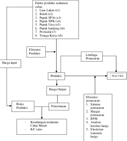 Gambar 2.  Alur pemikiran analisis efisiensi produksi, pendapatan        usahatani dan efisiensi pemasaran cabai merah hibrida        Kabupaten Pringsewu, 2011 