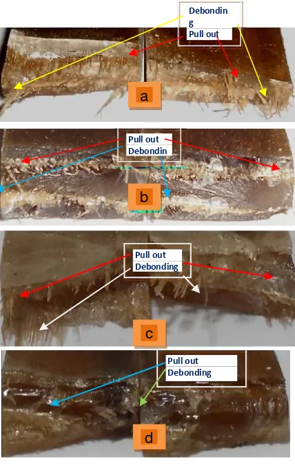 Gambar 6d pada spesimen uji bendingGambar 6b pada spesimen uji tarik danmemperlihatkan patahan yang lebih baik.Patahan yang terjadi adalah patah getaskarena terlihat permukaan patahan yangrelatif rata