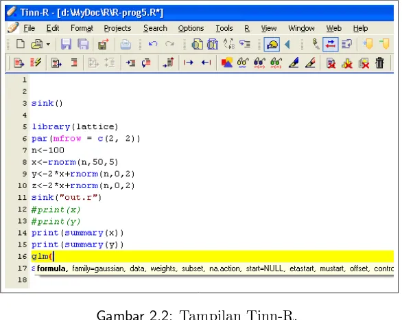 Gambar 2.2: Tampilan Tinn-R.