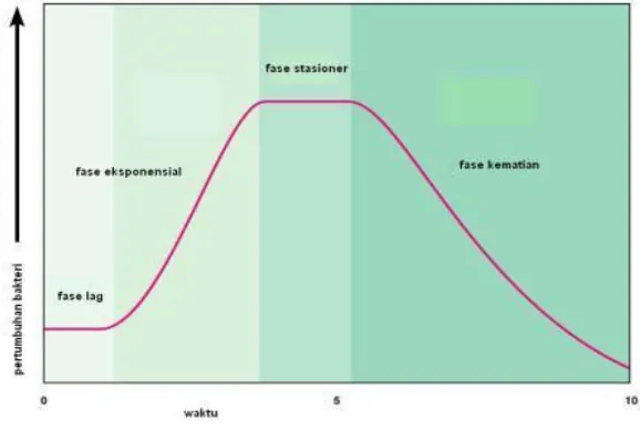 Gambar 1.  Kurva Pertumbuhan Mikroorganisme   (Anonim, 2007) 