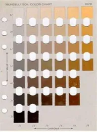 Gambar 1. Lembaran warna standar dari buku Munsell Soil Color