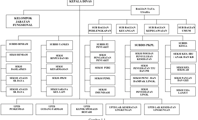 Gambar 1.1 Struktur Organisasi Dinas kesehatan Kota medan