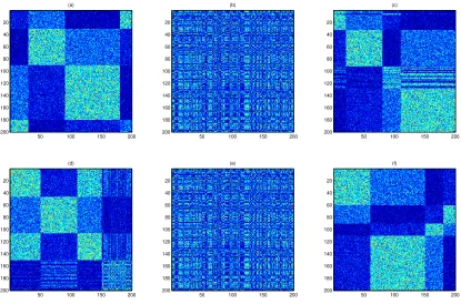 Figure 2: Biclustering using α-NMF and α-PNMF based on the I-divergence for the syn-thetic data: (a) the original matrix, (b) the disordered or testing matrix