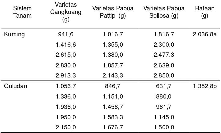 Tabel 4. Rata-rata berat umbi/tanaman saat panen 6 (enam) bulan padaberbagai perlakuan di dataran tinggi Kabupaten Yahukimo, Papua2006