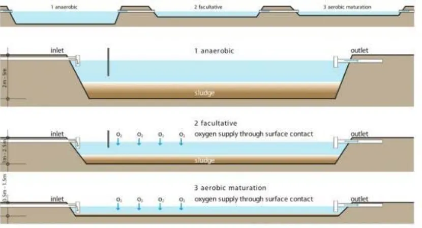 Figure 1:  Typical  scheme of  a wast e st abilisat ion syst em:  An anaerobic,  facult at ive and mat urat ion pond in series