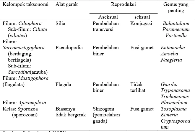 Tabel 1. Karakteristik kelompok utama protozoa 