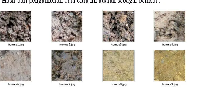 Gambar 2 Data citra tanah humus