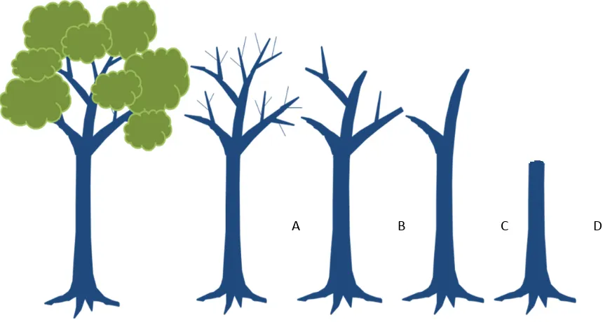 Gambar 7. Tingkat keutuhan berbagai tipe pohon mati 