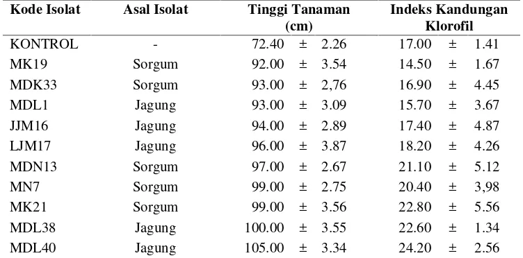 Tabel 4.3 Sepuluh isolat FMA yang menunjukkan pengaruh terbaik terhadap tinggitanaman dan kandungan klorofil daun sorgum manis
