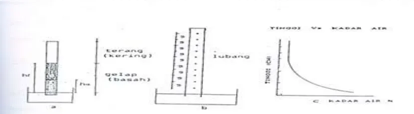 Gambar 2. a. Kenaikan kapiler b. Tabung pemeriksaan kenaikan kapiler c. Grafik tinggi 