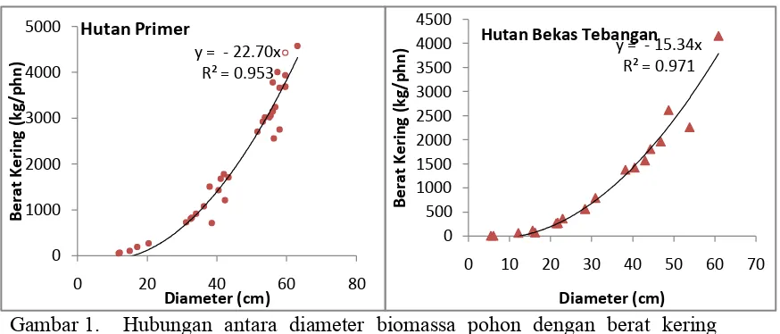 Gambar 1.   Hubungan antara diameter biomassa pohon dengan berat kering biomassa pohon 