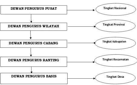 Gambar 1 : Struktur organisasi Serikat Petani Indonesia (sumber DPW 