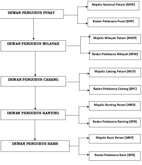 Gambar 2 : Struktur majelis dan badan pengurus Serikat Petani Indonesia 