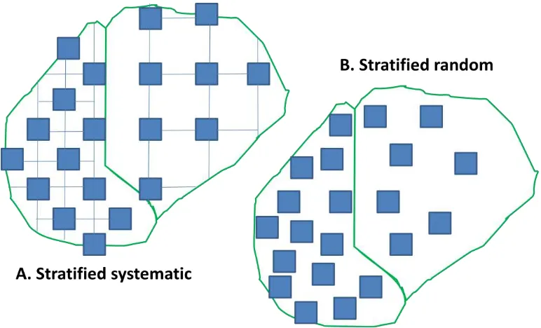 Gambar 2. Metode penyebaran plot dengan stratified systematic (A) dan stratified random (B) 