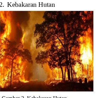 Gambar 2. Kebakaran Hutan