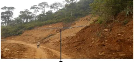 Gambar 1.  Keadaan hulu yang tandus 