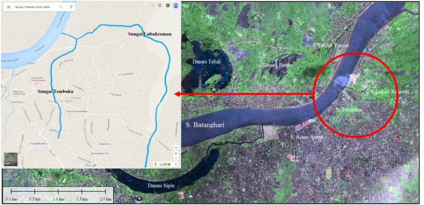 Gambar 2.Skema Sungai Tembuku, Sungai Lubukrahman, Sungai Batanghari dan Kota Jambi