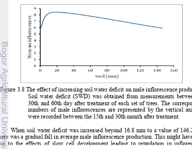 Figure 3.8 The effect of increasing soil water deficit on male inflorescence production