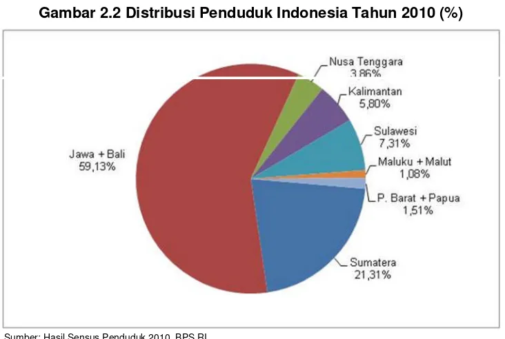 Gambar 2.2 Distribusi Penduduk Indonesia Tahun 2010 (%)