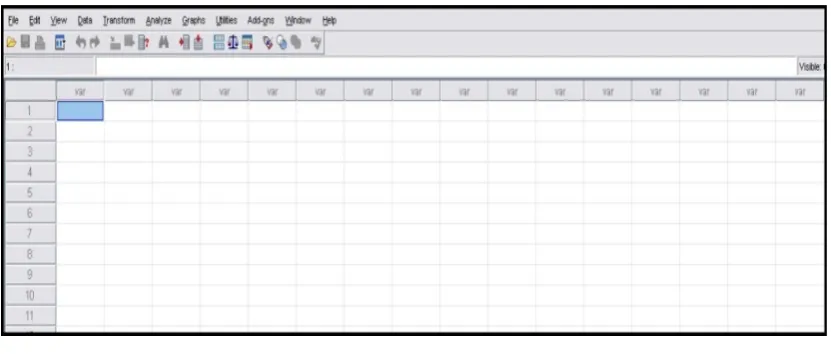 Gambar 2.3Tahap Awal SPSS
