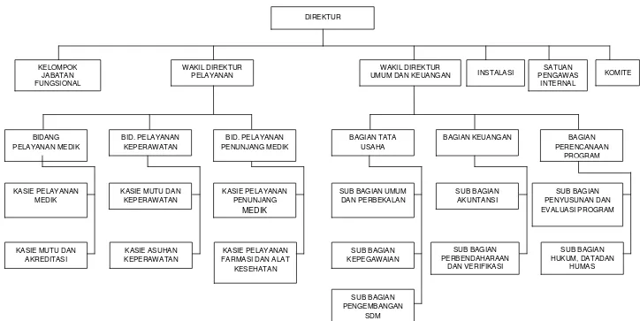 Gambar 1.1 Struktur Organisasi RSUD Ratu Zalecha Martapura