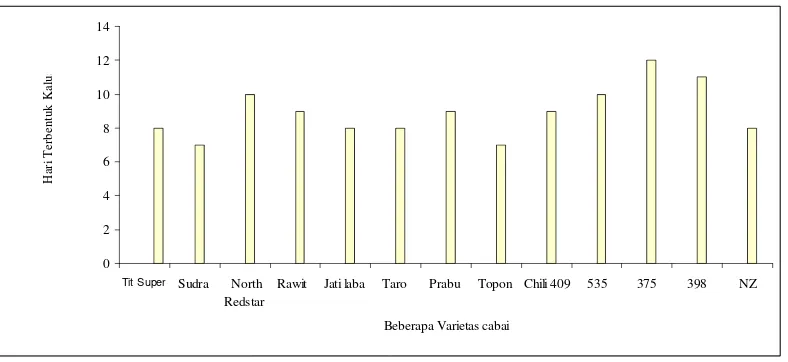 Gambar  1  Waktu yang diperlukan beberapa varietas cabai untuk membentuk kalus 