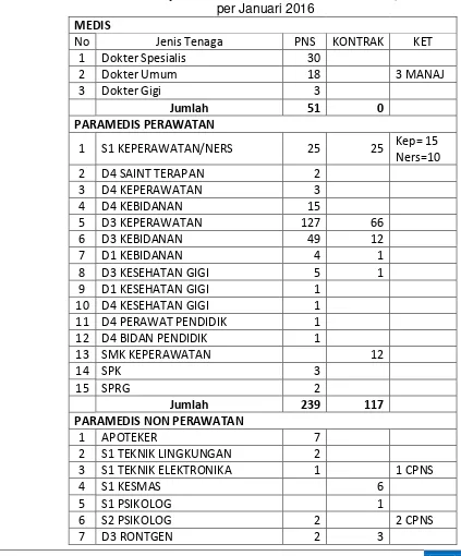  Tabel 1  Sumber Daya Manusia RSUD Ratu Zalecha Martapura  