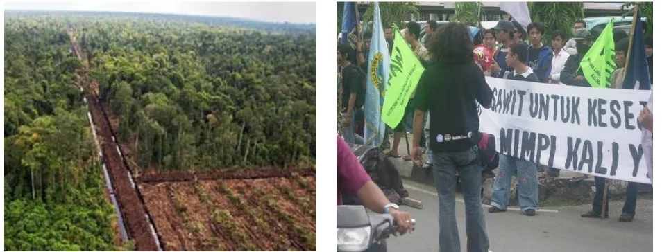 Gambar 2. Perkebunan kelapa sawit dan aksi penolakan terhadap perkebunan kelapa sawit