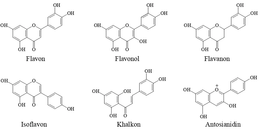 Gambar 2.  Struktur dari golongan flavonoid.                                  Sumber: Pustaka no 33.