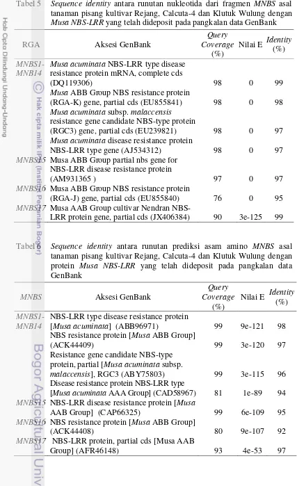 Tabel 5 Sequence identity antara runutan nukleotida dari fragmen MNBS asal 
