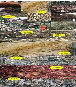 Gambar.  Berbagai jenis limbah di tempat pembuangan sebagai polutan dan sumber penghasil GRK