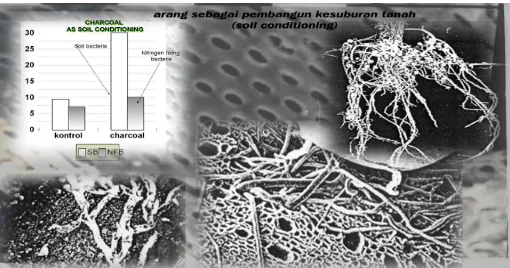 Gambar 2.  Peranan arang di dalam tanah sebagai soil conditioning