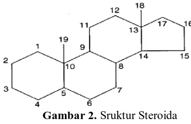 Gambar 2. Sruktur Steroida 