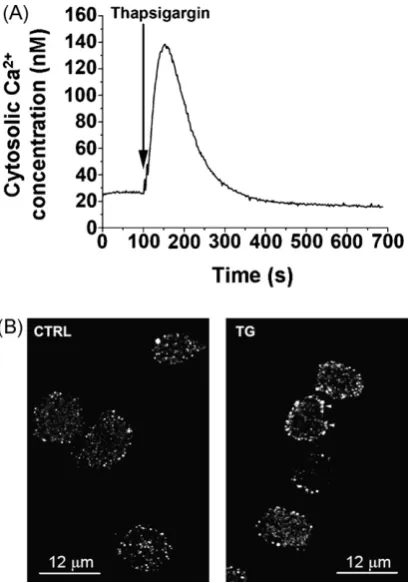 Figure 2) differs from others, but some of protein bands of the PAM