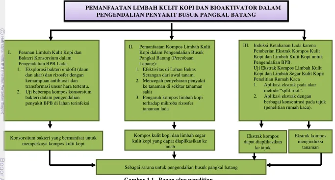 Gambar 1.1   Bagan alur penelitian 