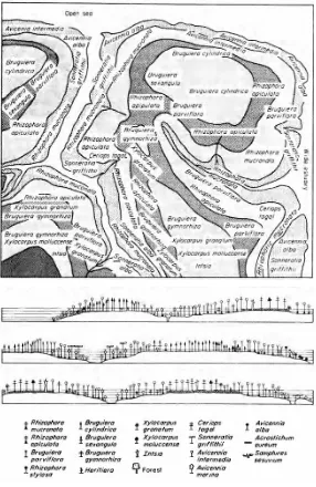 Gambar 2.1. Representasi grafis dari zonasi mangrove di Malaysia oleh Watson (1928). Sumber: Smith (1928)