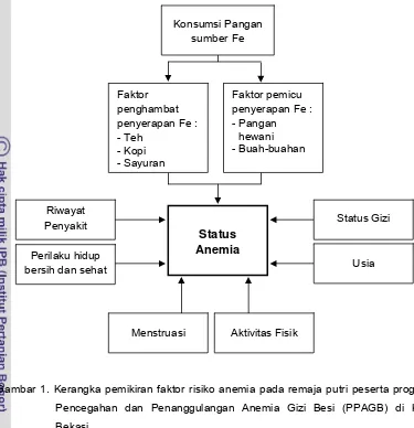 Gambar 1. Kerangka pemikiran faktor risiko anemia pada remaja putri peserta program  