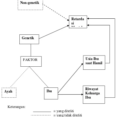 Gambar 3.1 Skema Kerangka Konsep Penelitian Gambaran Gambaran Usia 