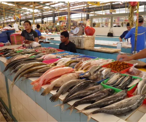 Gambar 3.6:  Indonesia kaya akan beragam jenis ikan
