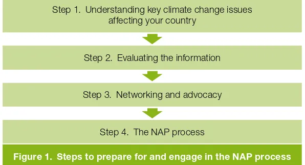 Figure 1. Steps to prepare for and engage in the NAP process