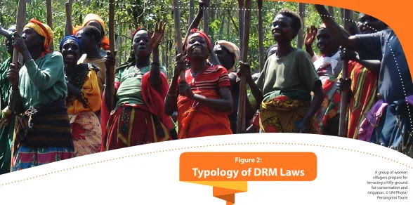 Figure 2: Typology of DRM Laws