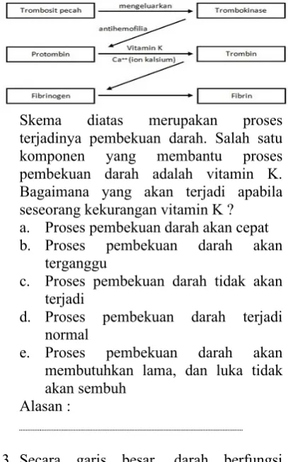 Gambar  diatas  merupakan  darah  yang